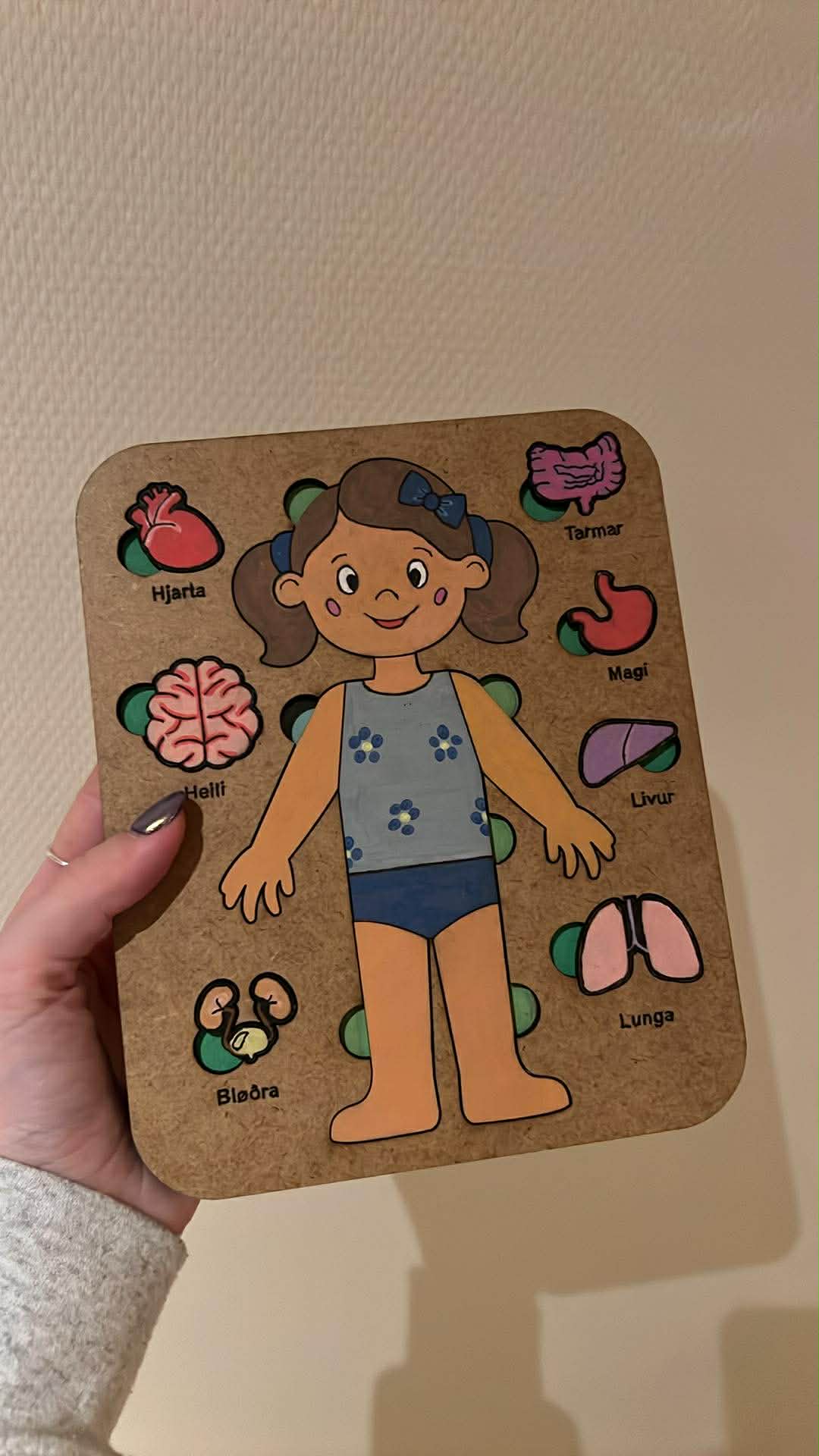 Assembled girl version with Faroese organ labels